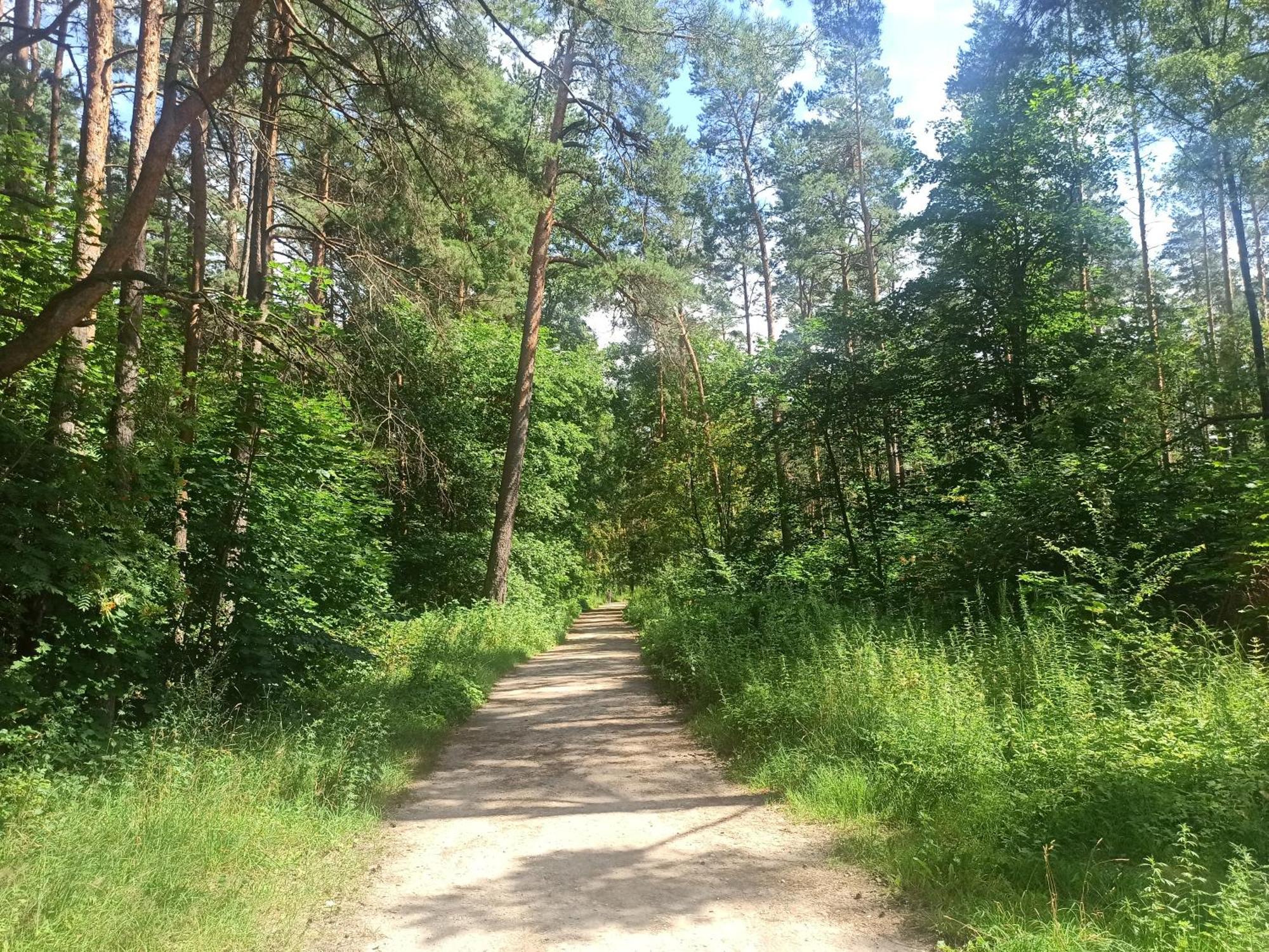 Cozy In Purvciems Huoneisto