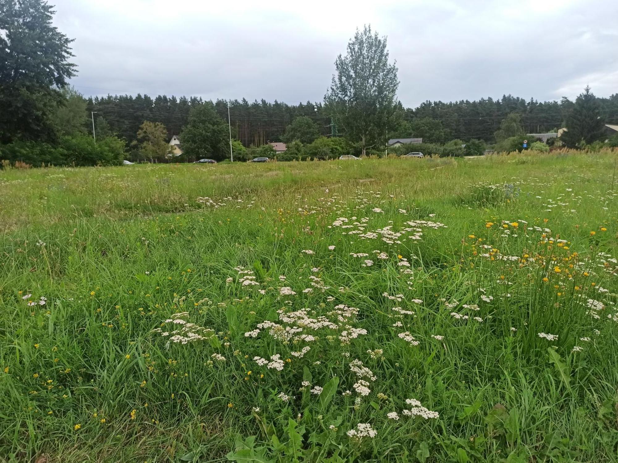 Huoneisto Cozy In Purvciems