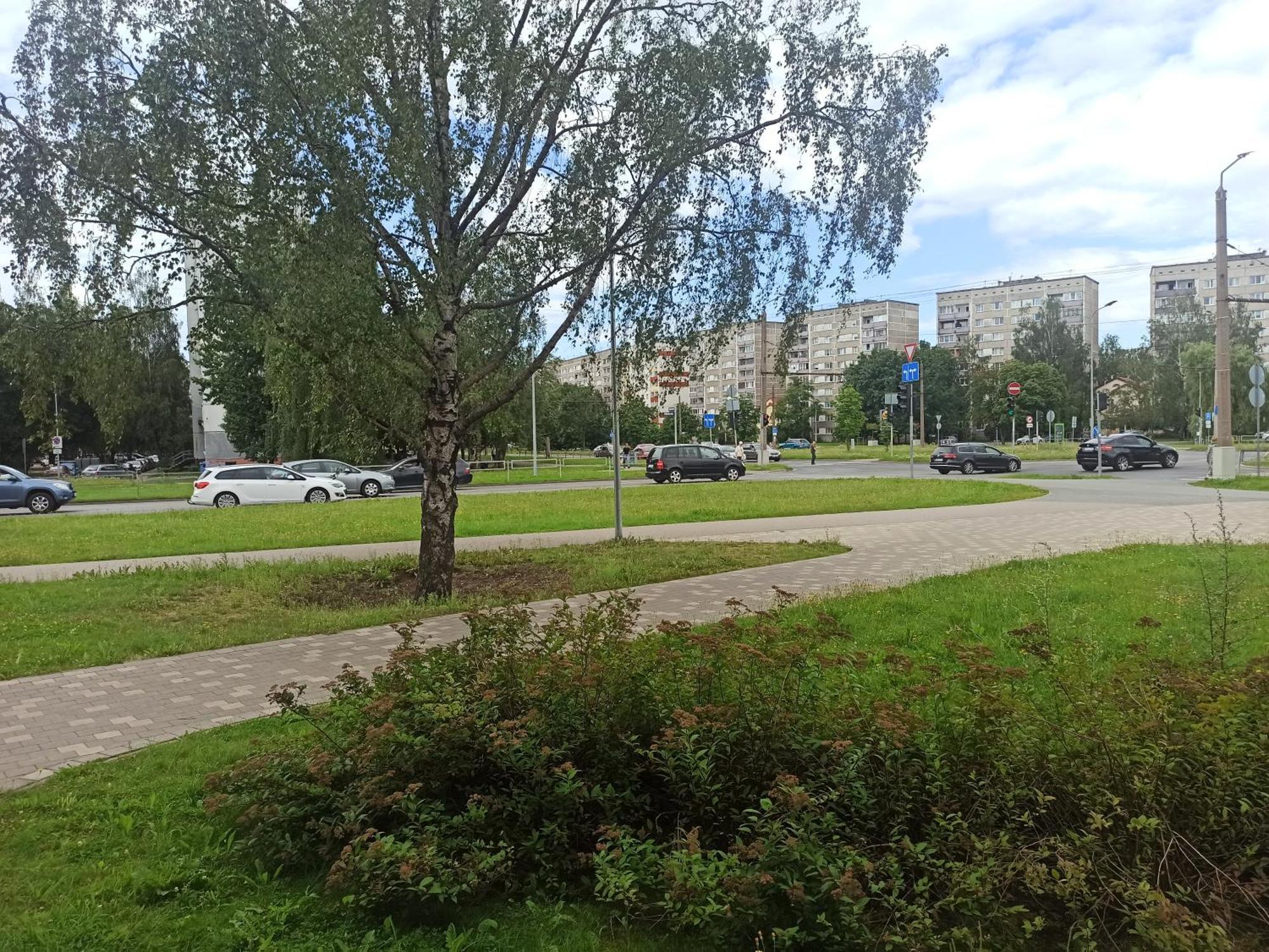 Cozy In Purvciems Huoneisto Riika